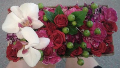 Portfolio eventos