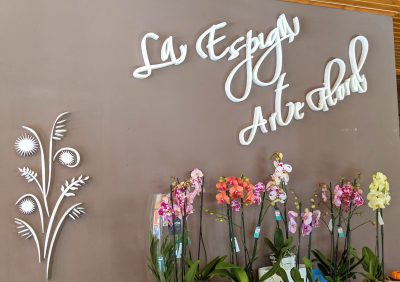 Floristerías en Guardo