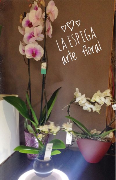 Portfolio eventos