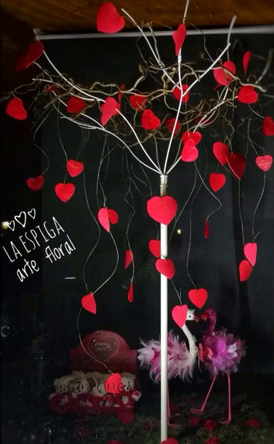 Portfolio eventos