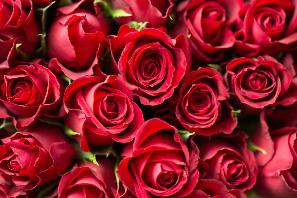 San Valentín